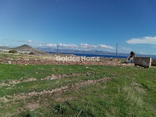 Αγροτεμάχια 12.000 τ.μ. για πώληση, Κυκλάδες, Πάρος-thumb-1