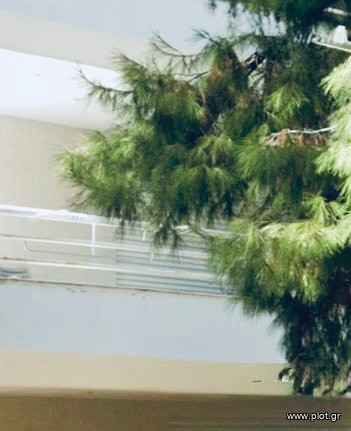 Μονοκατοικία 100 τ.μ. πρός πώληση, Αθήνα - Νότια Προάστια, Άγιος Δημήτριος