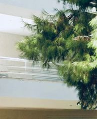Μονοκατοικία 100 τ.μ. για πώληση