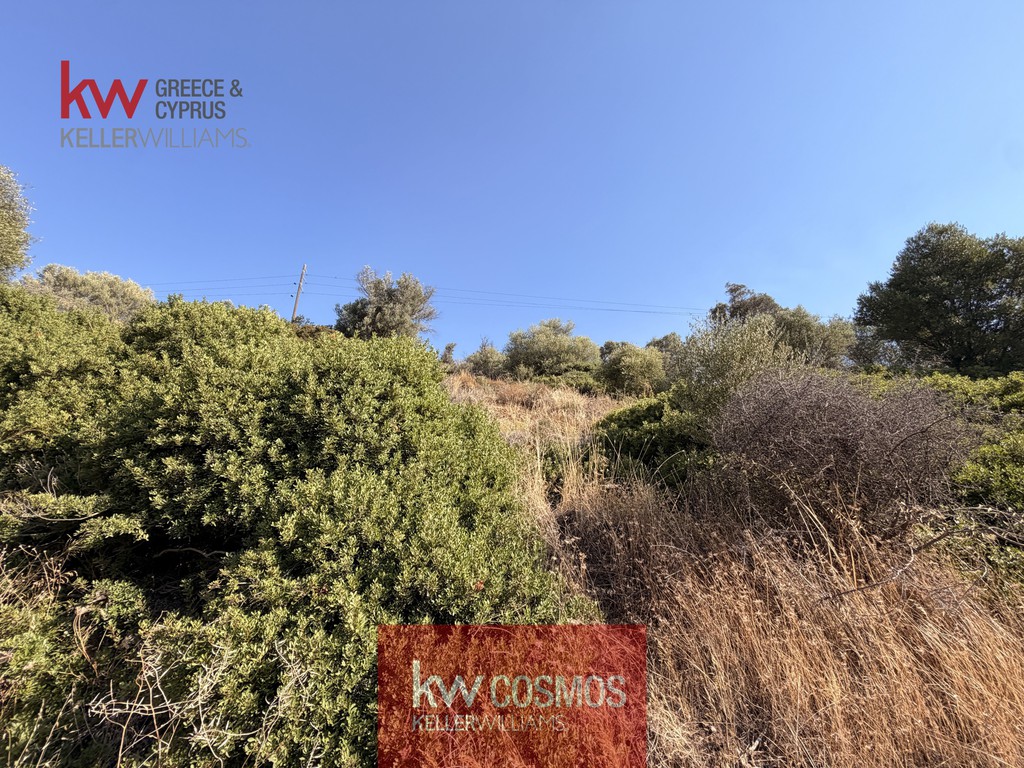 Οικόπεδο 3.930 τ.μ. προς πώληση, Αλιβέρι