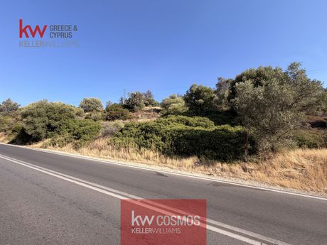 Οικόπεδο 3.930 τ.μ. προς πώληση