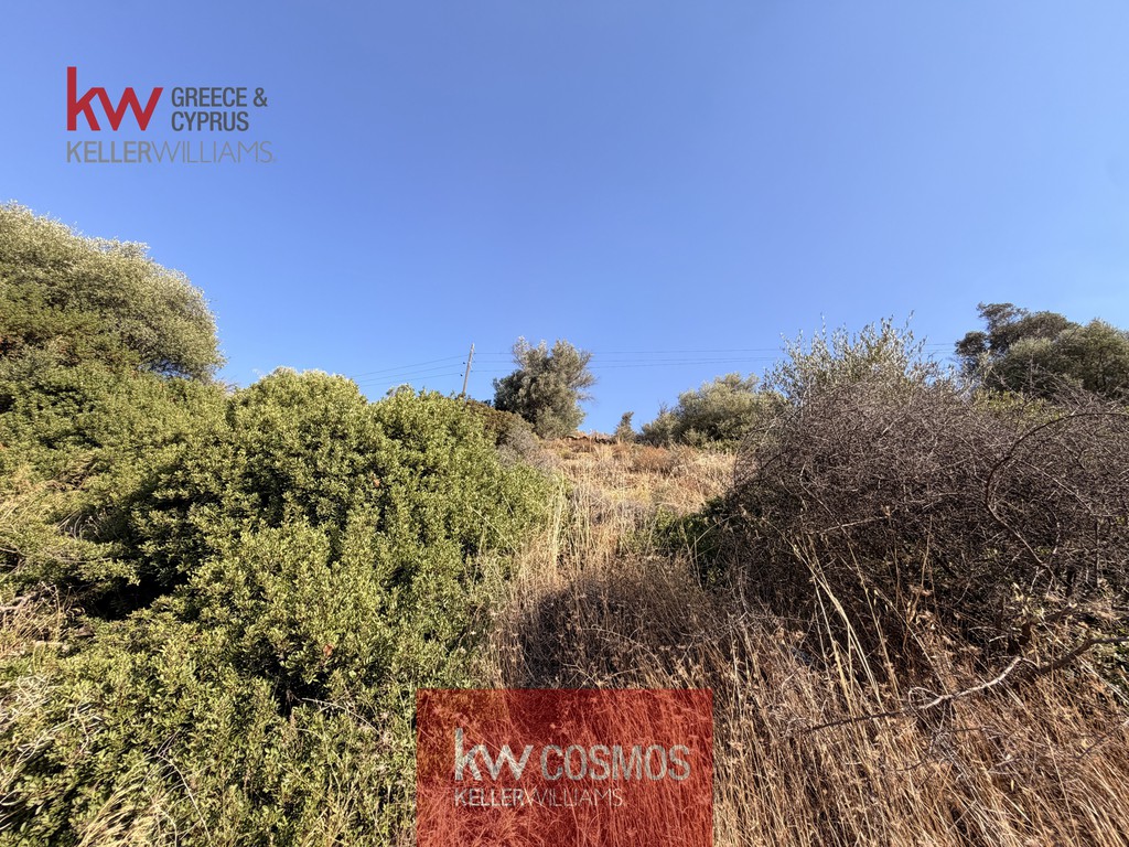 Οικόπεδο 3.930 τ.μ. προς πώληση, Αλιβέρι