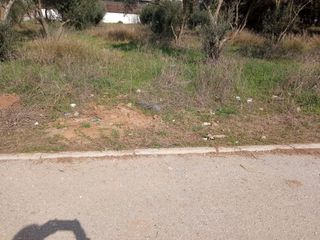 Αγροτεμάχια 8.360 τ.μ. για πώληση