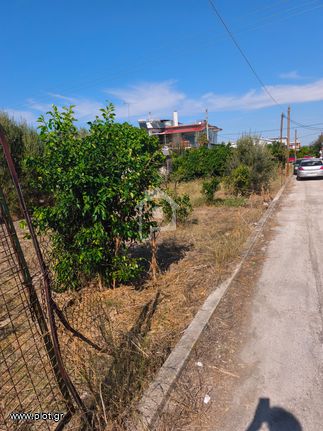 Οικόπεδο 1 τ.μ. για πώληση, Κορινθία, Βέλο