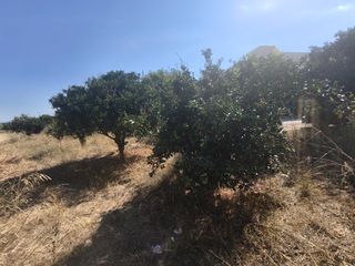 Οικόπεδο 1 τ.μ. για πώληση, Κορινθία, Βέλο-thumb-3