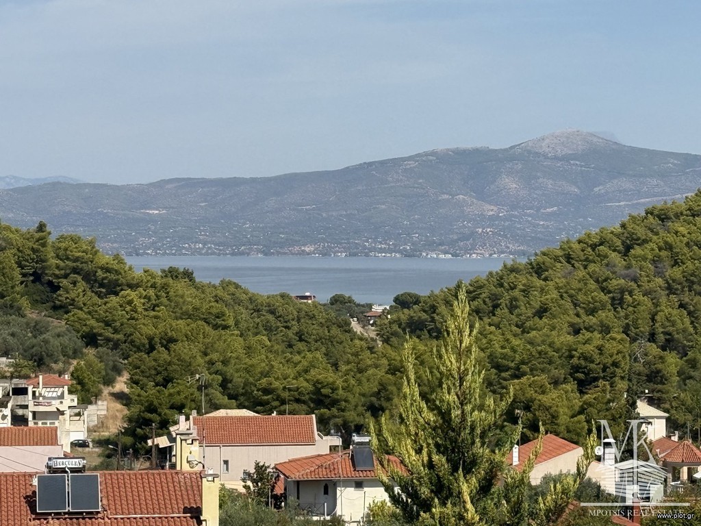 Μεζονέτα 264 τ.μ. πρός πώληση, Αττική - Υπόλοιπο, Κ. Σκάλας Ωρωπού