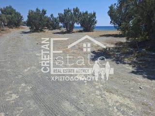 Αγροτεμάχια 2.262 τ.μ. πρός πώληση, Ν. Λασιθίου, Ιεράπετρα-thumb-2