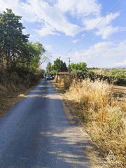 Αγροτεμάχια 6.750 τ.μ. για πώληση