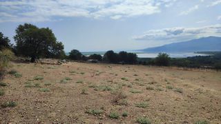 Οικόπεδο 5.500 τ.μ. πρός πώληση, Ν. Σερρών, Κερκίνη-thumb-2