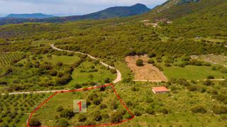 Αγροτεμάχια 4.532 τ.μ. για πώληση, Μεσσηνία, Πεταλίδι-thumb-2