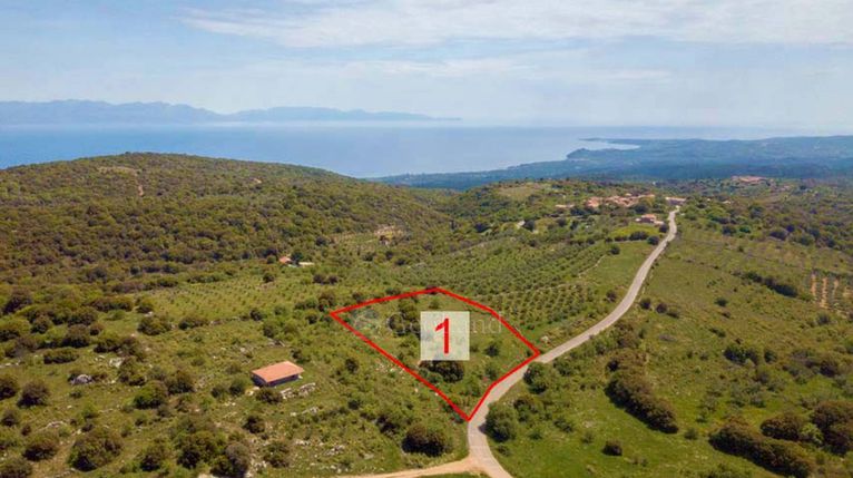 Αγροτεμάχια 4.532 τ.μ. για πώληση, Μεσσηνία, Πεταλίδι