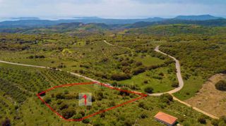 Αγροτεμάχια 4.532 τ.μ. για πώληση, Μεσσηνία, Πεταλίδι-thumb-1