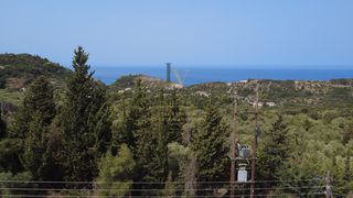 Αγροτεμάχια 1.333 τ.μ. για πώληση, Ν. Λευκάδας, Λευκάδα-thumb-2
