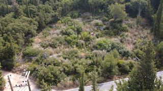 Αγροτεμάχια 1.333 τ.μ. για πώληση, Ν. Λευκάδας, Λευκάδα-thumb-8