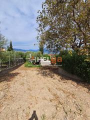 Οικόπεδο 5.000 τ.μ. για πώληση, Αχαΐα, Ρίο-thumb-2