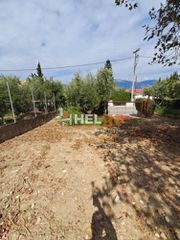 Οικόπεδο 5.000 τ.μ. για πώληση, Αχαΐα, Ρίο-thumb-17