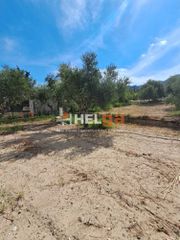 Οικόπεδο 5.000 τ.μ. για πώληση, Αχαΐα, Ρίο-thumb-7
