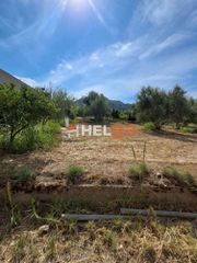 Οικόπεδο 5.000 τ.μ. για πώληση, Αχαΐα, Ρίο-thumb-11