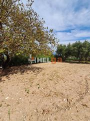 Οικόπεδο 5.000 τ.μ. για πώληση, Αχαΐα, Ρίο-thumb-3