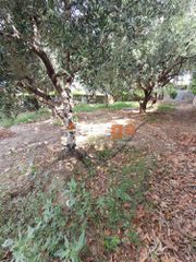 Οικόπεδο 5.000 τ.μ. για πώληση, Αχαΐα, Ρίο-thumb-19