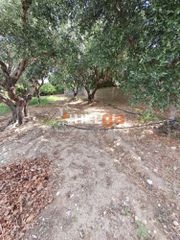 Οικόπεδο 5.000 τ.μ. για πώληση, Αχαΐα, Ρίο-thumb-21
