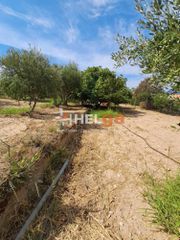 Οικόπεδο 5.000 τ.μ. για πώληση, Αχαΐα, Ρίο-thumb-13