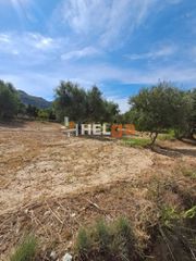 Οικόπεδο 5.000 τ.μ. για πώληση, Αχαΐα, Ρίο-thumb-12