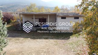 Αγροτεμάχια 52.000 τ.μ. για πώληση
