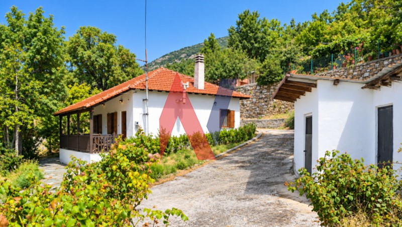 Μονοκατοικία 52 τ.μ. πρός ενοικίαση, Μαγνησία, Πορταριά