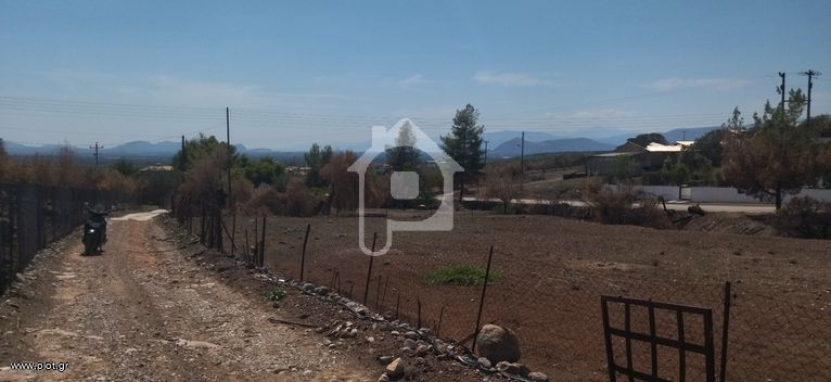 Οικόπεδο 1.300 τ.μ. για πώληση, Αργολίδα, Μυκήνες