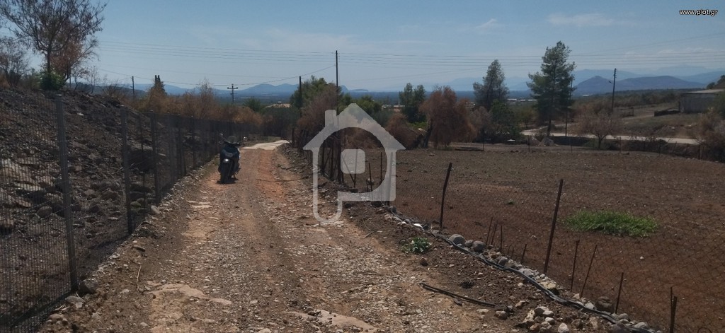 Οικόπεδο 1.300 τ.μ. προς πώληση, Φίχτι