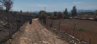 Οικόπεδο 1.300 τ.μ. για πώληση, Αργολίδα, Μυκήνες-thumb-4