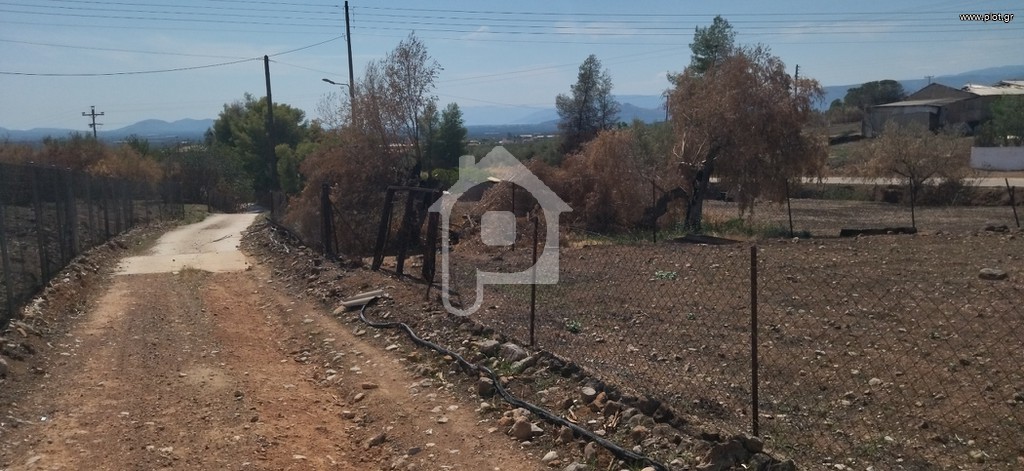 Οικόπεδο 1.300 τ.μ. προς πώληση, Φίχτι