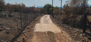 Οικόπεδο 1.300 τ.μ. για πώληση, Αργολίδα, Μυκήνες-thumb-7