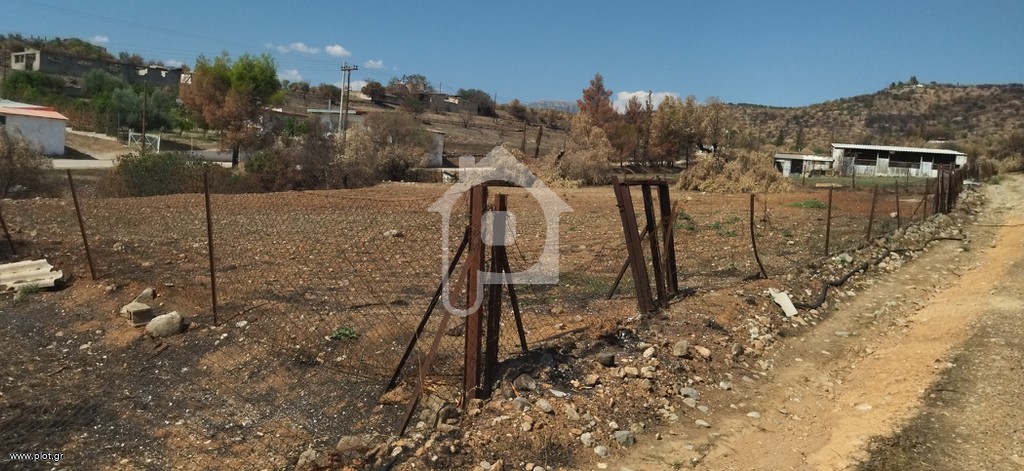 Οικόπεδο 1.300 τ.μ. προς πώληση, Φίχτι