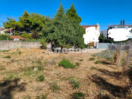 Οικόπεδο 388 τ.μ. πρός πώληση