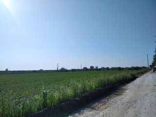 Αγροτεμάχια 33.400 τ.μ. για πώληση, Ν. Λάρισας, Τύρναβος-thumb-1