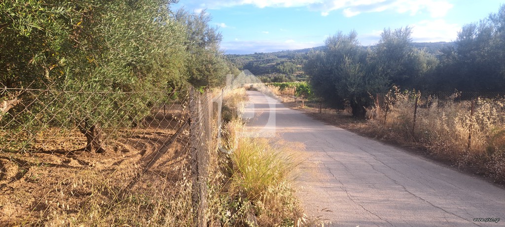 Αγροτεμάχια 2.250 τ.μ. προς πώληση, Μελίσσι Ξυλοκάστρου