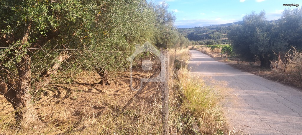 Αγροτεμάχια 2.250 τ.μ. προς πώληση, Μελίσσι Ξυλοκάστρου