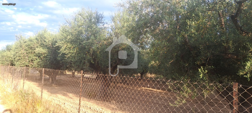 Αγροτεμάχια 2.250 τ.μ. προς πώληση, Μελίσσι Ξυλοκάστρου