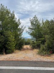 Οικόπεδο 3.426 τ.μ. για πώληση, Ν. Λευκάδας, Λευκάδα-thumb-2