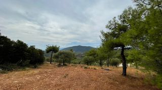 Οικόπεδο 3.426 τ.μ. για πώληση, Ν. Λευκάδας, Λευκάδα-thumb-5