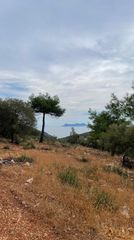 Οικόπεδο 3.426 τ.μ. για πώληση, Ν. Λευκάδας, Λευκάδα-thumb-6