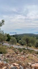 Οικόπεδο 3.426 τ.μ. για πώληση, Ν. Λευκάδας, Λευκάδα-thumb-9