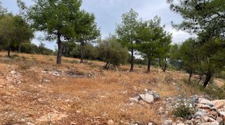 Οικόπεδο 3.426 τ.μ. για πώληση, Ν. Λευκάδας, Λευκάδα-thumb-14