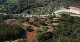 Οικόπεδο 3.426 τ.μ. για πώληση, Ν. Λευκάδας, Λευκάδα-thumb-17