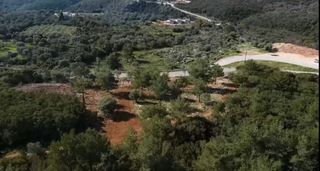 Οικόπεδο 3.426 τ.μ. για πώληση, Ν. Λευκάδας, Λευκάδα-thumb-18