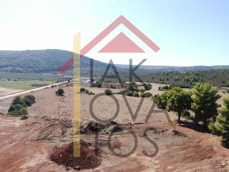 Αγροτεμάχια 15.850 τ.μ. πρός πώληση