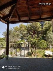 Μονοκατοικία 65 τ.μ. για ενοικίαση