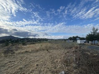 Οικόπεδο 2.000 τ.μ. για ενοικίαση, Αττική - Υπόλοιπο, Ωρωπός-thumb-13